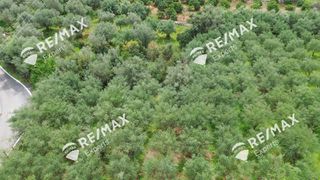 Αγροτεμάχια 1.800 τ.μ. για πώληση, Αρκαδία, Λεωνίδιο-thumb-18