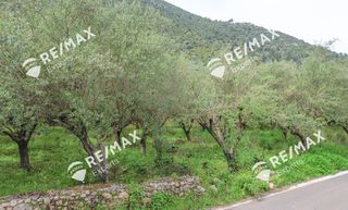 Αγροτεμάχια 1.800 τ.μ. για πώληση, Αρκαδία, Λεωνίδιο-thumb-10