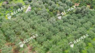 Αγροτεμάχια 1.800 τ.μ. για πώληση, Αρκαδία, Λεωνίδιο-thumb-17