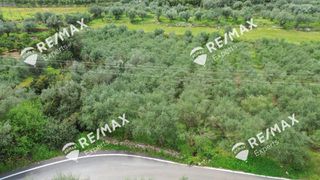 Αγροτεμάχια 1.800 τ.μ. για πώληση, Αρκαδία, Λεωνίδιο-thumb-3