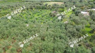 Αγροτεμάχια 1.800 τ.μ. για πώληση, Αρκαδία, Λεωνίδιο-thumb-6
