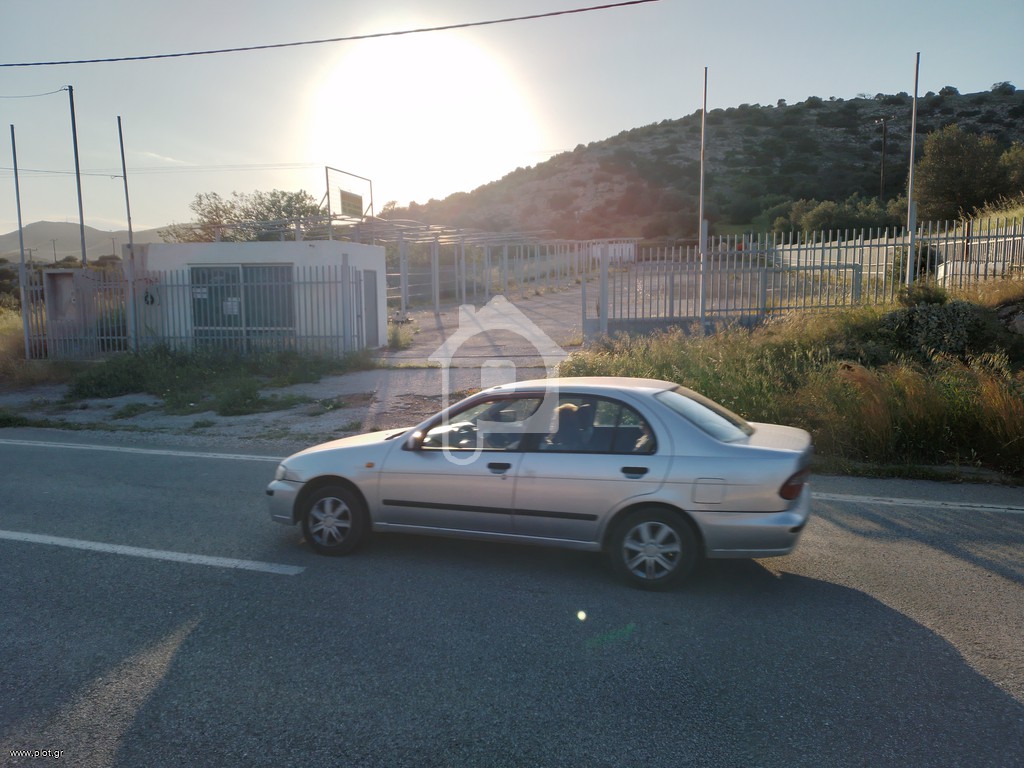 Αγροτεμάχια 2.400 τ.μ. προς ενοικίαση, Θορικό