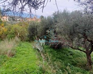 Οικόπεδο 1.100 τ.μ. για πώληση, Αχαΐα, Ρίο-thumb-2