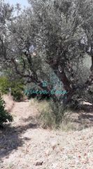 Οικόπεδο 1.100 τ.μ. για πώληση