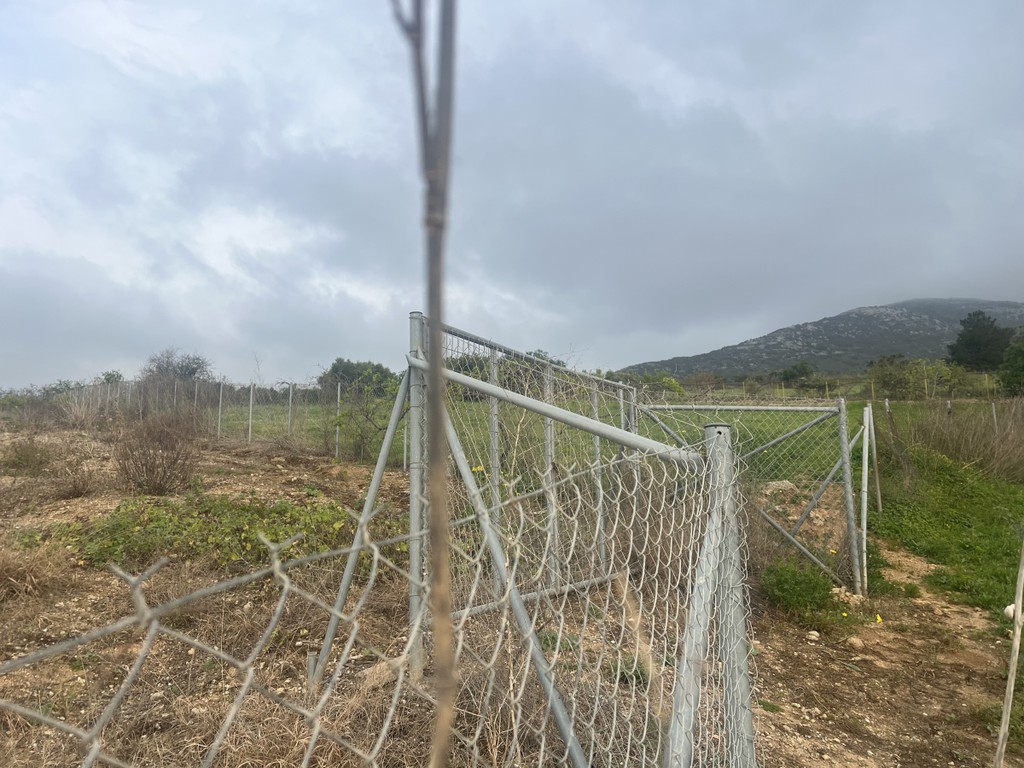 Οικόπεδο 850 τ.μ. προς πώληση, Βασιλείες