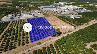Αγροτεμάχια 4.000 τ.μ. για πώληση, Αργολίδα, Άργος-thumb-3