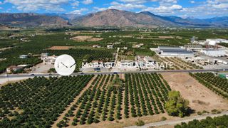 Αγροτεμάχια 4.000 τ.μ. για πώληση, Αργολίδα, Άργος-thumb-4
