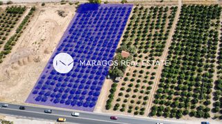 Αγροτεμάχια 4.000 τ.μ. για πώληση, Αργολίδα, Άργος-thumb-1
