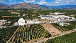 Αγροτεμάχια 4.000 τ.μ. για πώληση, Αργολίδα, Άργος-thumb-5