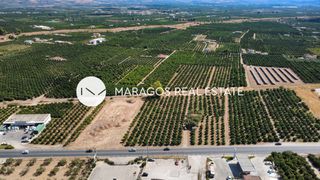 Αγροτεμάχια 4.000 τ.μ. για πώληση, Αργολίδα, Άργος-thumb-22