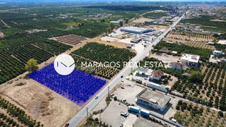 Αγροτεμάχια 4.000 τ.μ. για πώληση