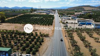 Αγροτεμάχια 4.000 τ.μ. για πώληση, Αργολίδα, Άργος-thumb-19