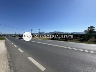 Αγροτεμάχια 4.000 τ.μ. για πώληση, Αργολίδα, Άργος-thumb-8