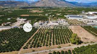 Αγροτεμάχια 4.000 τ.μ. για πώληση, Αργολίδα, Άργος-thumb-7