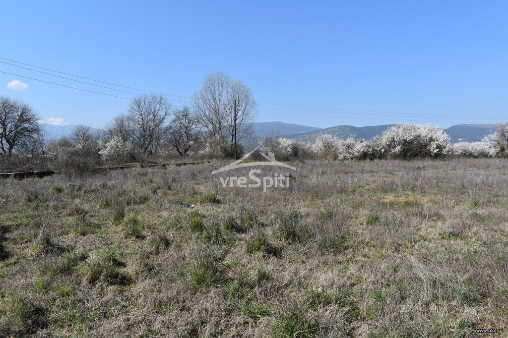 Αγροτεμάχια 5.173 τ.μ. προς πώληση, Κατσικάς