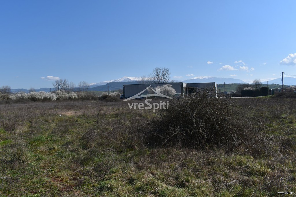 Αγροτεμάχια 5.173 τ.μ. προς πώληση, Κατσικάς