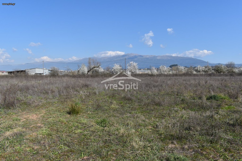 Αγροτεμάχια 5.173 τ.μ. προς πώληση, Κατσικάς