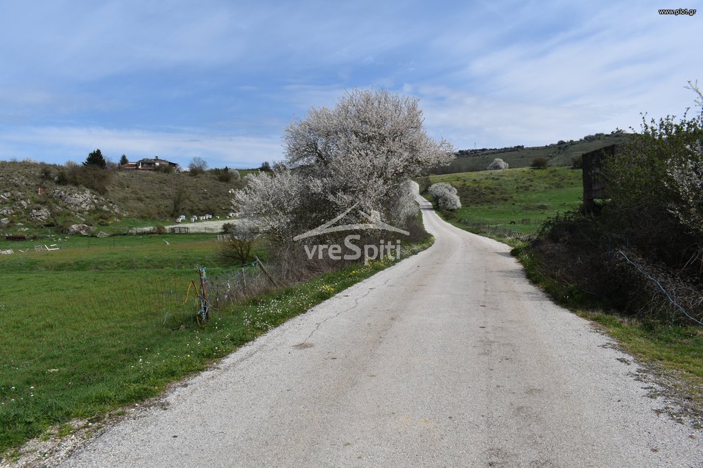 Αγροτεμάχια 9.900 τ.μ. προς πώληση, Νεοκαισάρεια Ανατολής