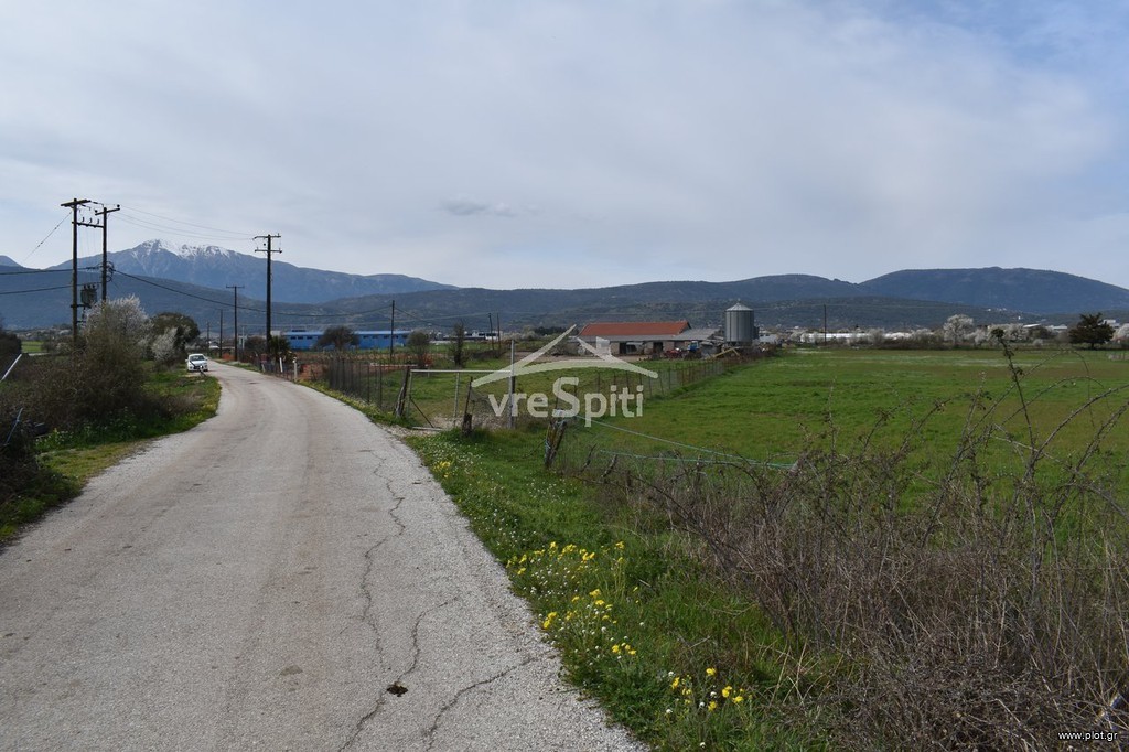 Αγροτεμάχια 9.900 τ.μ. προς πώληση, Νεοκαισάρεια Ανατολής