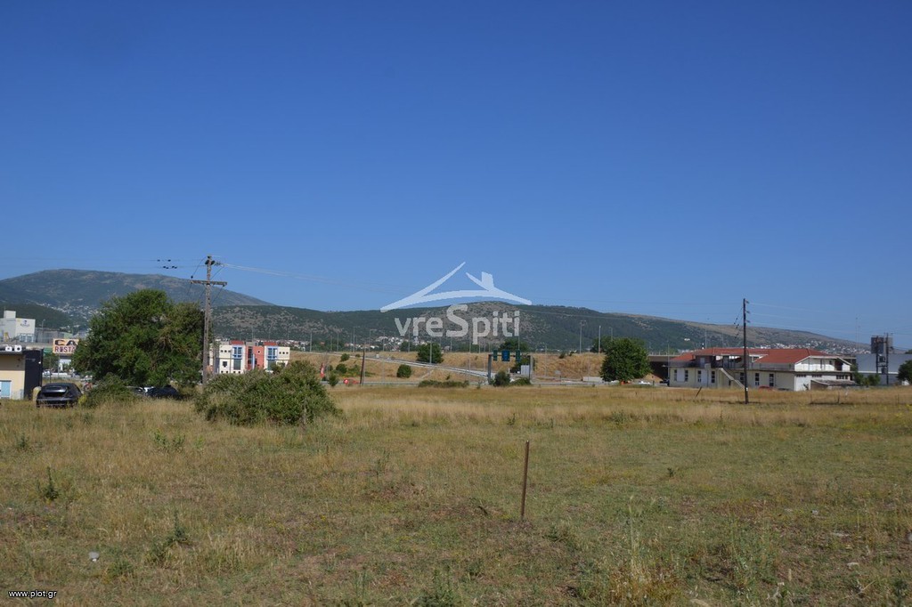 Αγροτεμάχια 8.136 τ.μ. για πώληση, Ν. Ιωαννίνων, Ιωάννινα