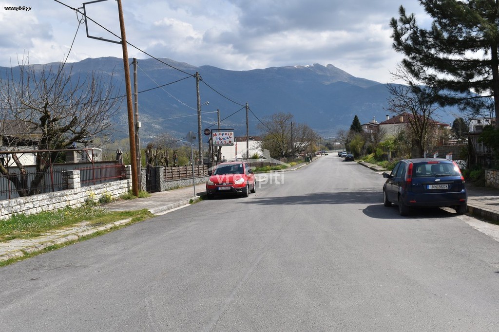 Οικόπεδο 400 τ.μ. προς πώληση, Ελεούσα Πασσαρώνας