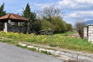 Οικόπεδο 400 τ.μ. για πώληση, Ν. Ιωαννίνων, Πασσαρώνα-thumb-10