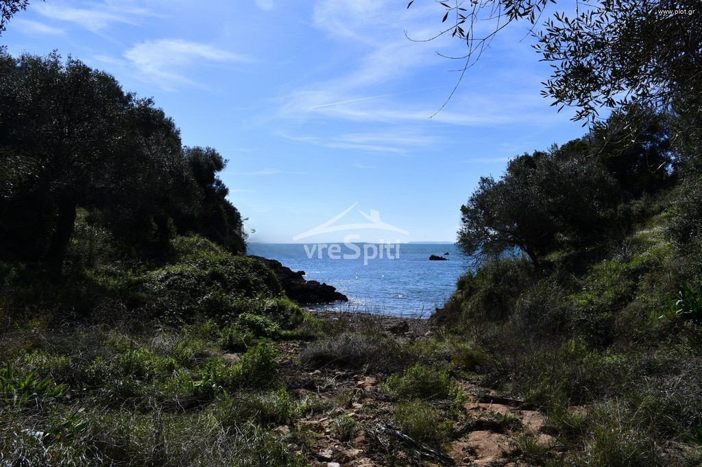 Αγροτεμάχια 5.893 τ.μ. για πώληση, Θεσπρωτία, Σύβοτα