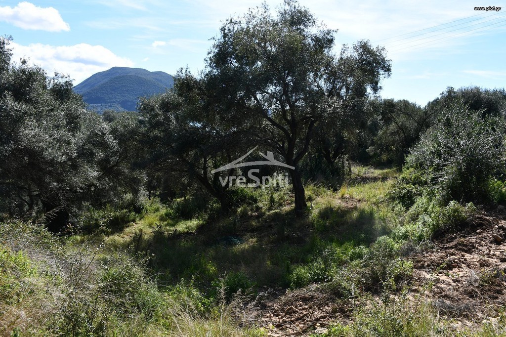 Αγροτεμάχια 5.893 τ.μ. προς πώληση, Σύβοτα
