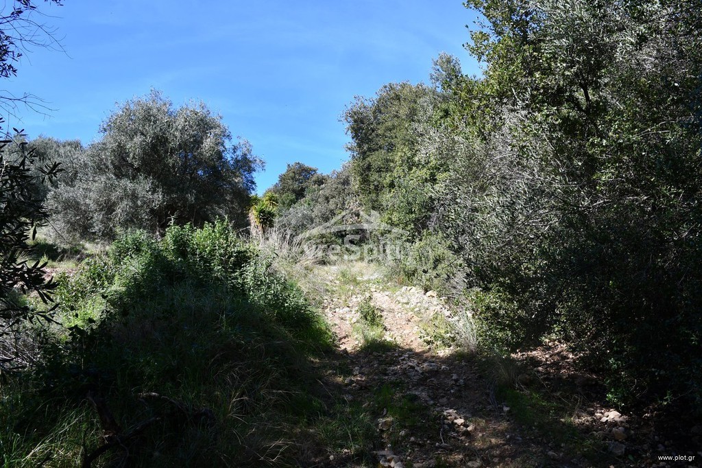 Αγροτεμάχια 5.893 τ.μ. προς πώληση, Σύβοτα