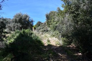 Αγροτεμάχια 5.893 τ.μ. για πώληση, Θεσπρωτία, Σύβοτα-thumb-3