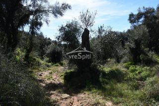 Αγροτεμάχια 5.893 τ.μ. για πώληση, Θεσπρωτία, Σύβοτα-thumb-4