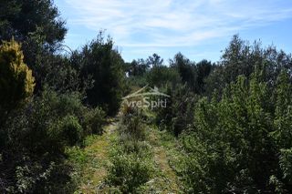 Αγροτεμάχια 5.893 τ.μ. για πώληση, Θεσπρωτία, Σύβοτα-thumb-11