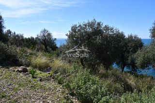 Αγροτεμάχια 5.893 τ.μ. για πώληση, Θεσπρωτία, Σύβοτα-thumb-12