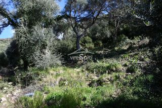 Αγροτεμάχια 5.893 τ.μ. για πώληση, Θεσπρωτία, Σύβοτα-thumb-15