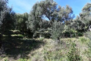 Αγροτεμάχια 5.893 τ.μ. για πώληση, Θεσπρωτία, Σύβοτα-thumb-16