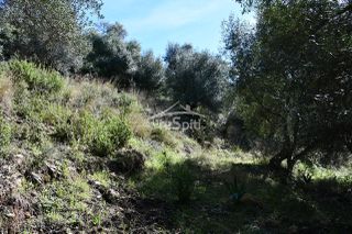 Αγροτεμάχια 5.893 τ.μ. για πώληση, Θεσπρωτία, Σύβοτα-thumb-20