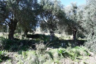 Αγροτεμάχια 5.893 τ.μ. για πώληση, Θεσπρωτία, Σύβοτα-thumb-23