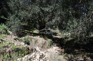 Αγροτεμάχια 5.893 τ.μ. για πώληση, Θεσπρωτία, Σύβοτα-thumb-24