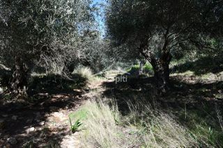 Αγροτεμάχια 5.893 τ.μ. για πώληση, Θεσπρωτία, Σύβοτα-thumb-25