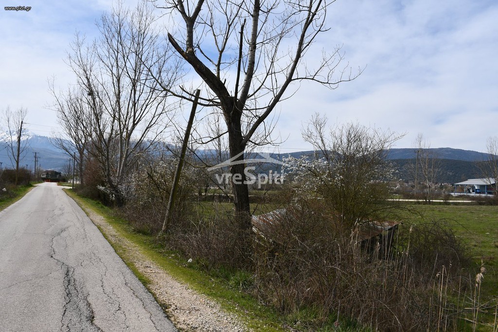 Αγροτεμάχια 4.800 τ.μ. προς πώληση, Πεδινή