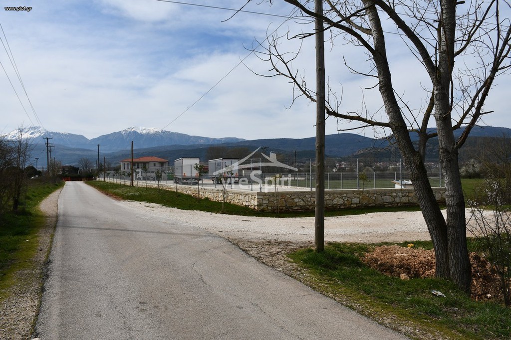 Αγροτεμάχια 4.800 τ.μ. προς πώληση, Πεδινή