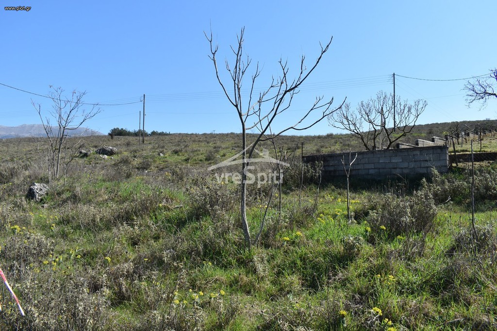 Οικόπεδο 640 τ.μ. προς πώληση, Ελεούσα Πασσαρώνας