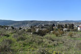 Οικόπεδο 640 τ.μ. για πώληση, Ν. Ιωαννίνων, Πασσαρώνα-thumb-6
