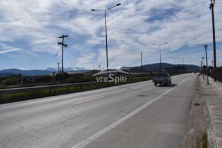 Αγροτεμάχια 4.875 τ.μ. για πώληση, Ν. Ιωαννίνων, Ιωάννινα-thumb-2