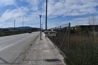 Αγροτεμάχια 4.875 τ.μ. για πώληση, Ν. Ιωαννίνων, Ιωάννινα-thumb-4