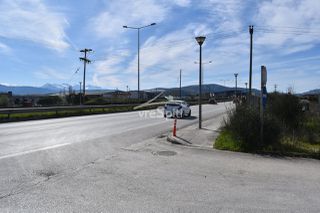 Αγροτεμάχια 4.875 τ.μ. για πώληση, Ν. Ιωαννίνων, Ιωάννινα-thumb-6