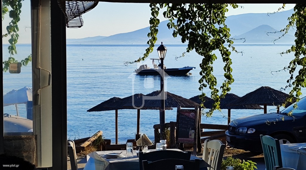 Επιχείρηση 70 τ.μ. προς πώληση, Κυκλάδες, Νάξος