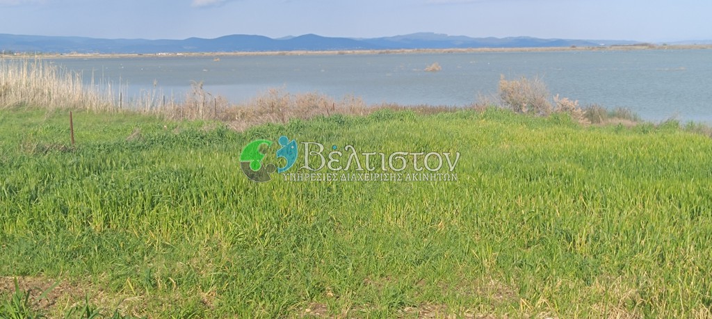 Αγροτεμάχια 1.816 τ.μ. πρός πώληση, Χαλκιδική, Μουδανιά