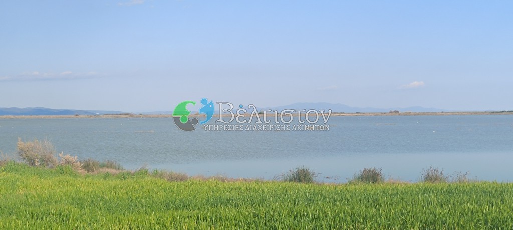 Αγροτεμάχια 1.816 τ.μ. πρός πώληση, Χαλκιδική, Μουδανιά