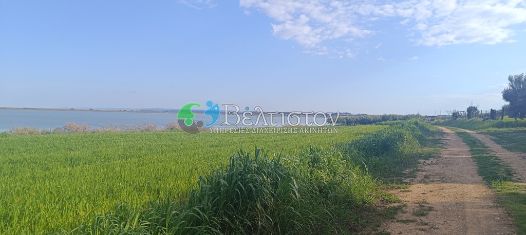 Αγροτεμάχια 1.816 τ.μ. πρός πώληση, Χαλκιδική, Μουδανιά